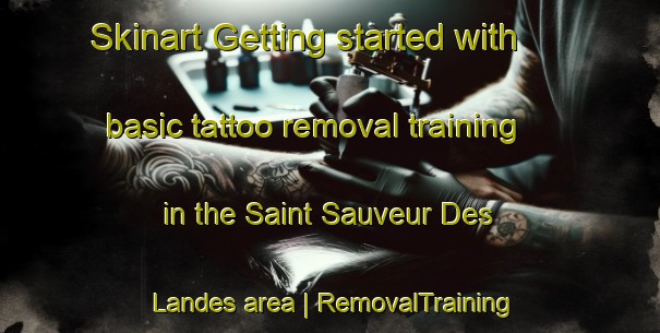 Skinart Getting started with basic tattoo removal training in the Saint Sauveur Des Landes area | RemovalTraining | RemovalClasses | SkinartTraining-France